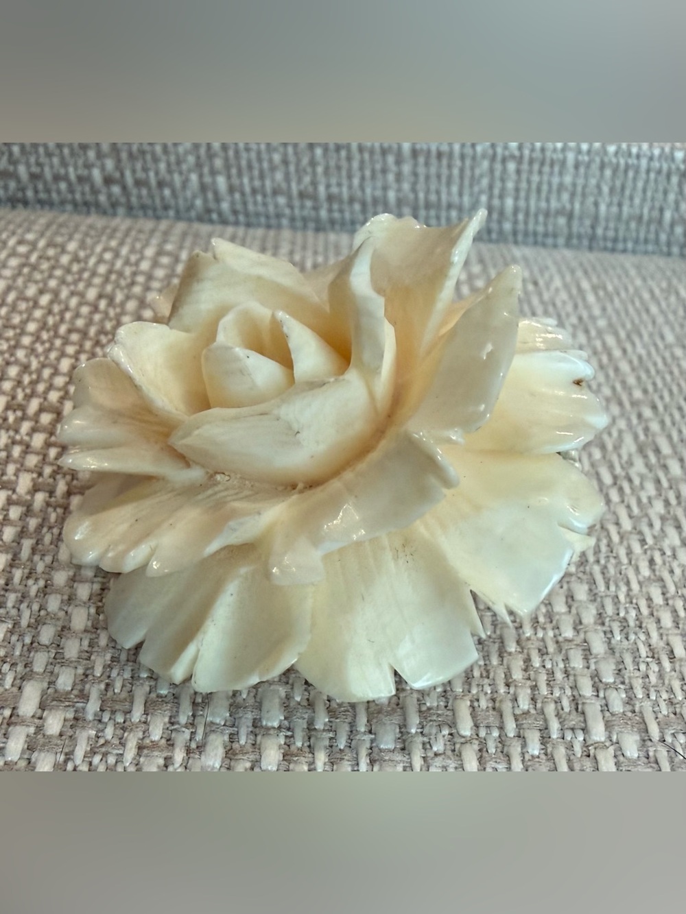 Carved Cream Rose Celluloid Very Vintage Brooch - Picture 3 of 14